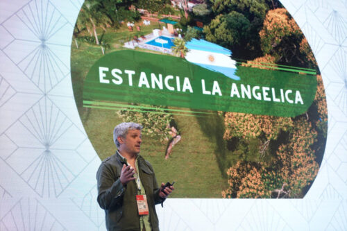 Establecimiento La Angélica - AR
